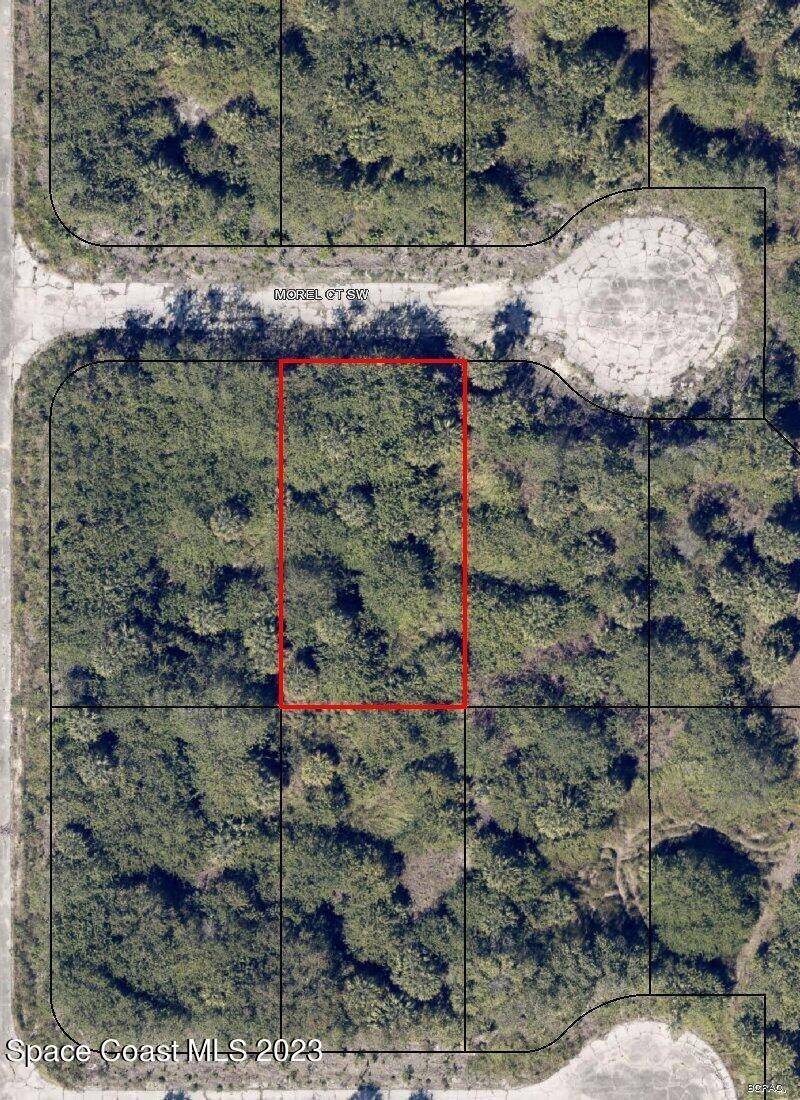 972 Morel CT SW, Palm Bay, FL 32908