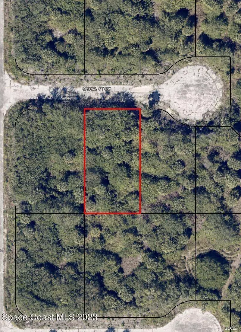 Palm Bay, FL 32908,972 Morel CT SW