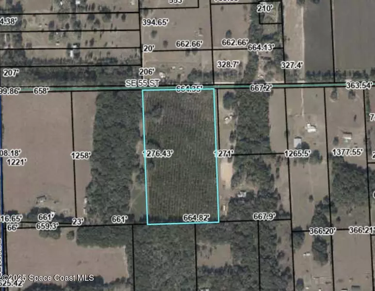 0 Cr 337 RD, Bell, FL 32619