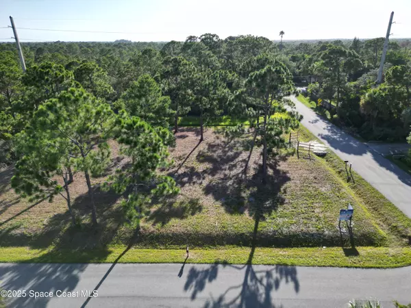 Micco, FL 32976,3625 Wisteria LN