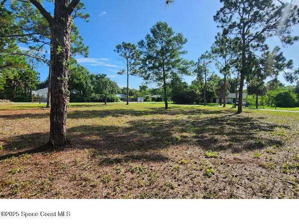 Micco, FL 32976,3625 Wisteria LN