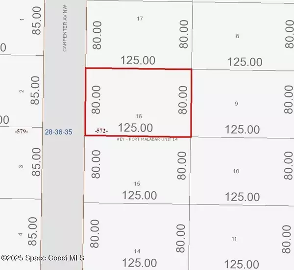 Palm Bay, FL 32907,419 Carpenter AVE NW