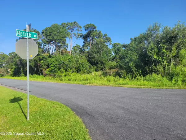 Palm Bay, FL 32909,0000 Corner Hester / Ricardo