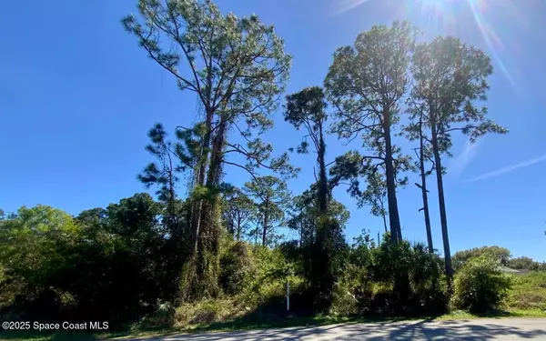 730 Firestone ST NE, Palm Bay, FL 32907
