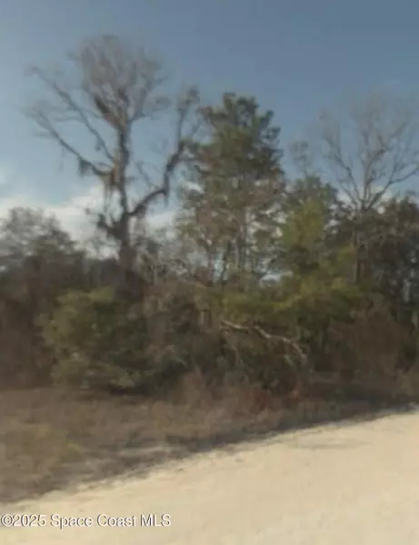 0 NE 65th LN, Bronson, FL 32621