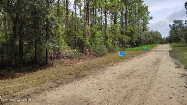 Dunnellon, FL 34432,0000 SW 175th Lot #12 CT