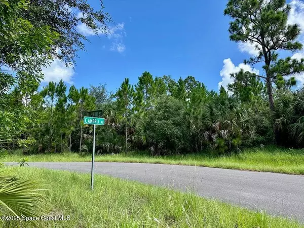 Palm Bay, FL 32908,101 Lafleur ST SW