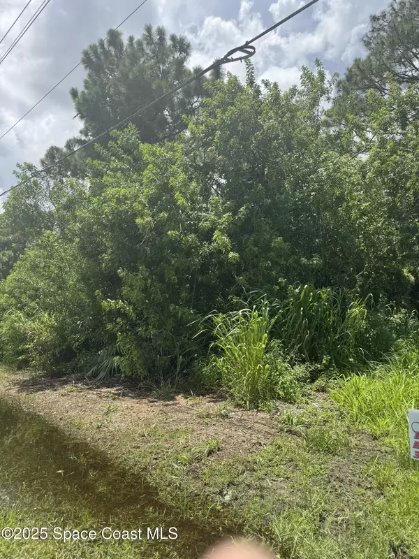 Palm Bay, FL 32909,870 Eldron BLVD SE