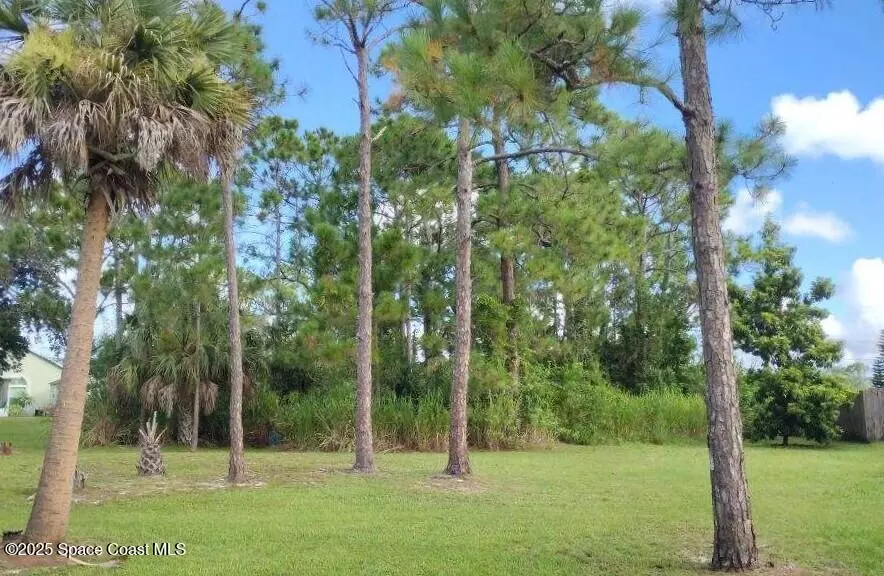 2100 Santa Maria AVE SE, Palm Bay, FL 32909