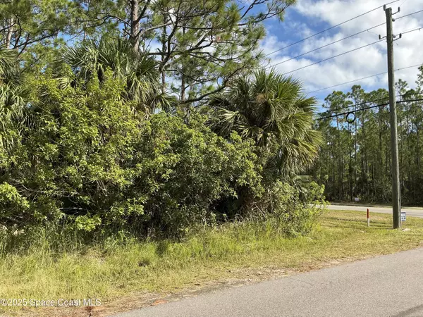 Palm Bay, FL 32908,0 Frederick ST SW