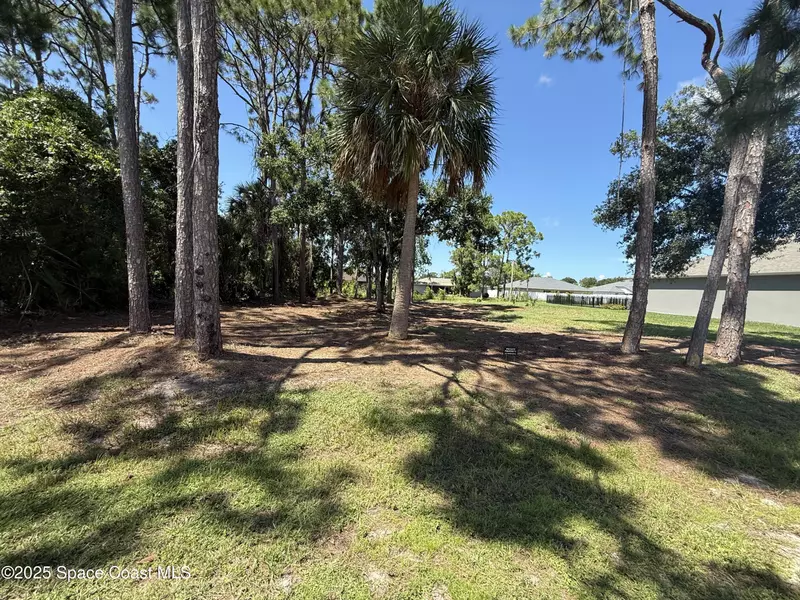 955 Brocksmith ST SE, Palm Bay, FL 32909