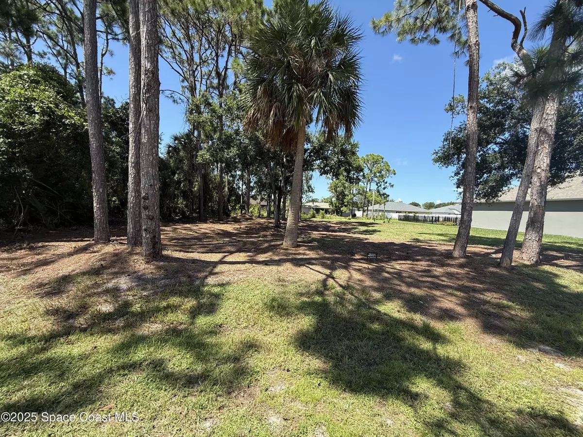 Palm Bay, FL 32909,955 Brocksmith ST SE