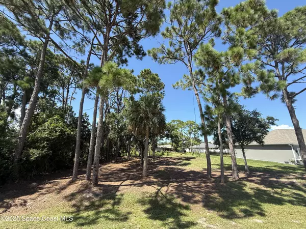 Palm Bay, FL 32909,955 Brocksmith ST SE