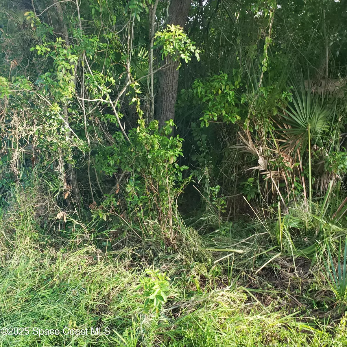 Merritt Island, FL 32952,1462 Newfound Harbor DR