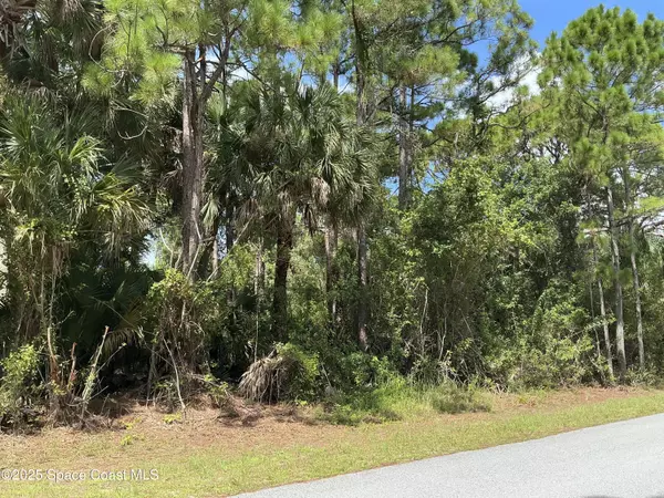 Palm Bay, FL 32909,3270 Topsey AVE SE