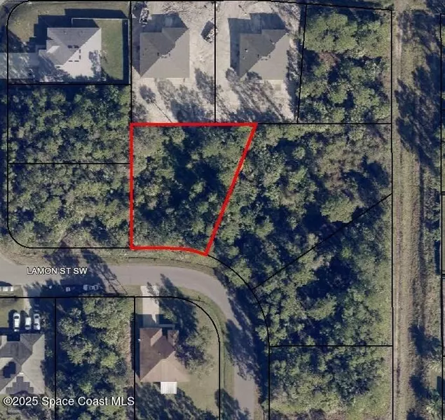 407 Lamon ST SW, Palm Bay, FL 32908
