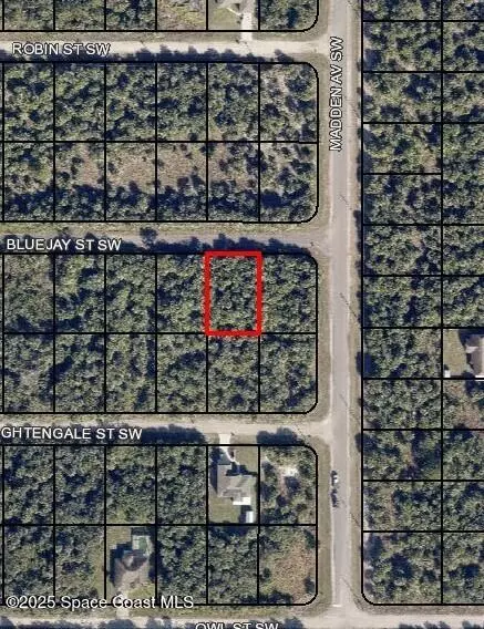 814 Bluejay ST SW, Palm Bay, FL 32908