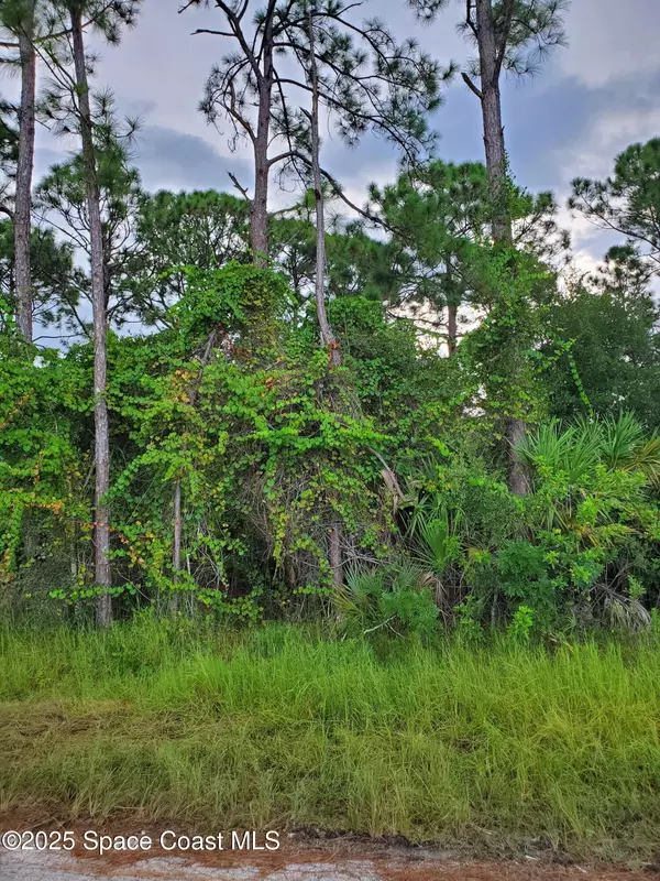 Palm Bay, FL 32909,415 Caribbean ST SE