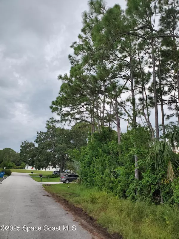 Palm Bay, FL 32909,415 Caribbean ST SE