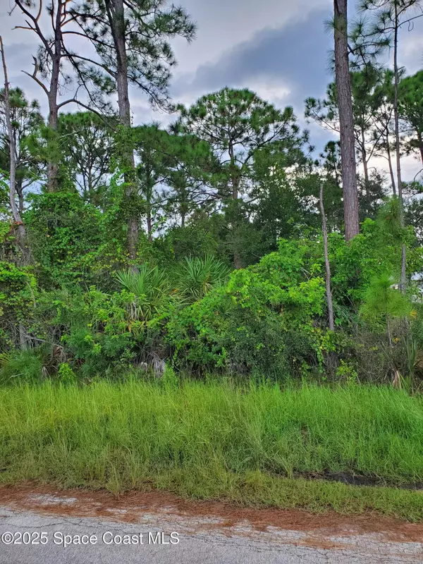 Palm Bay, FL 32909,415 Caribbean ST SE