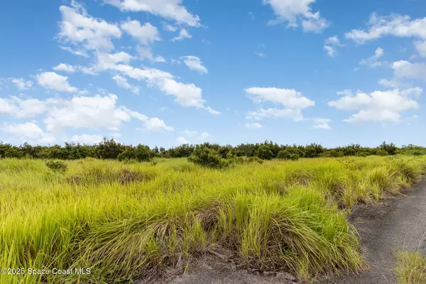 Palm Bay, FL 32908,2555 Deviltree AVE SW