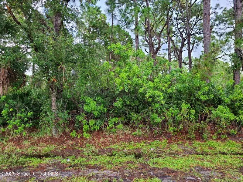 2561 Eldron BLVD SE, Palm Bay, FL 32909