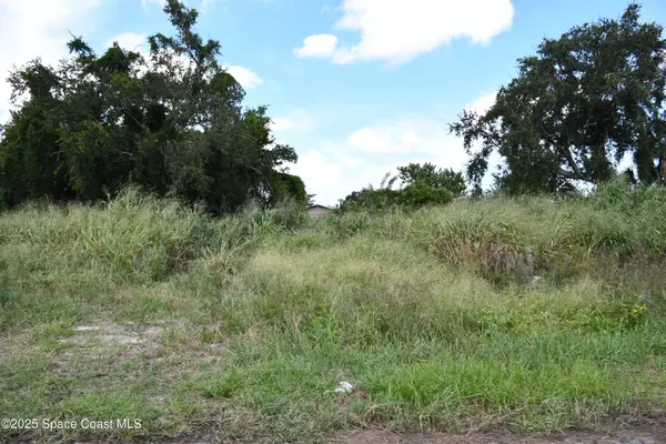 1425 Furnari ST, Cocoa, FL 32922