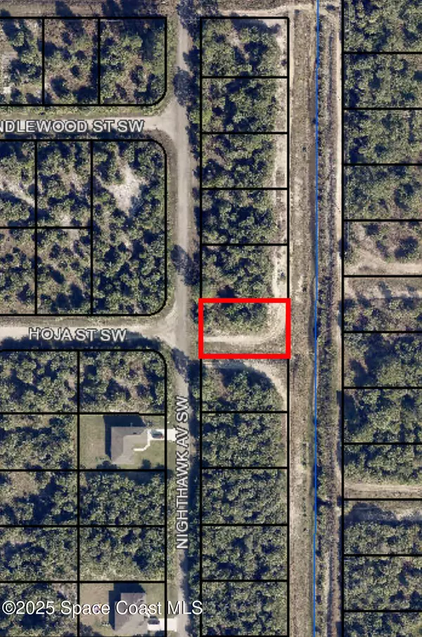 3197 SW Nighthawk AVE SW, Palm Bay, FL 32908