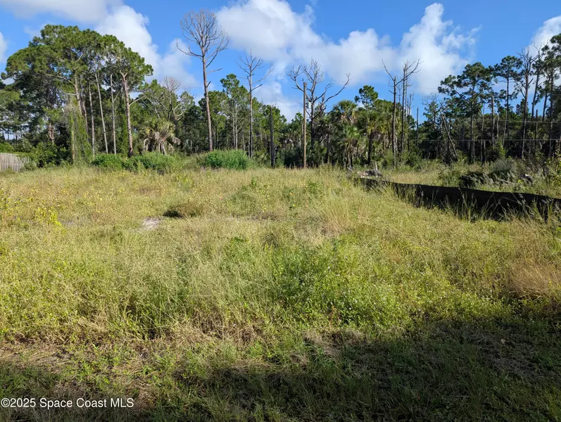 189 Tudor RD SW, Palm Bay, FL 32908