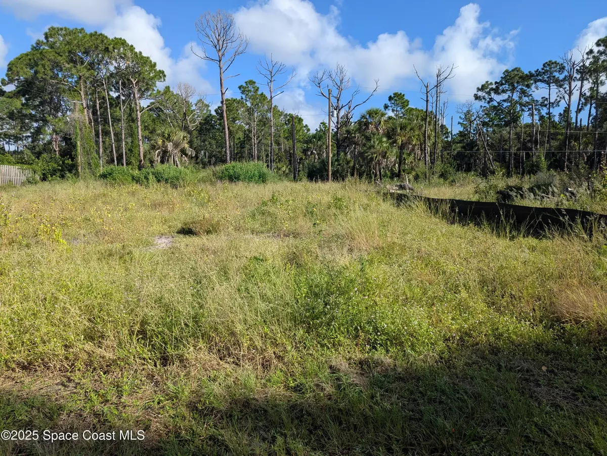 Palm Bay, FL 32908,189 Tudor RD SW