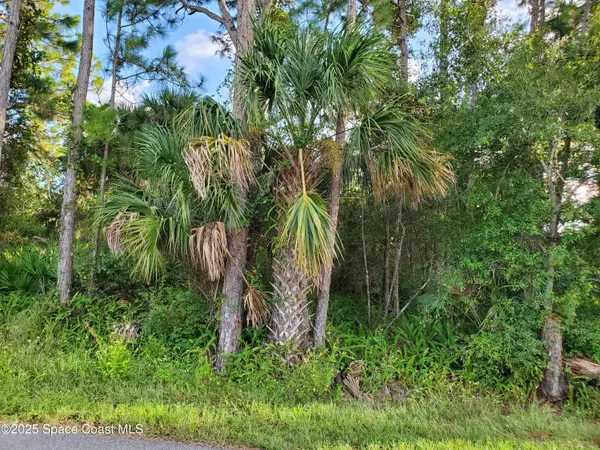 Cocoa, FL 32926,3757 Bryce ST