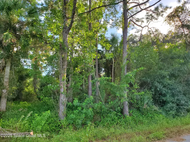 3757 Bryce ST, Cocoa, FL 32926