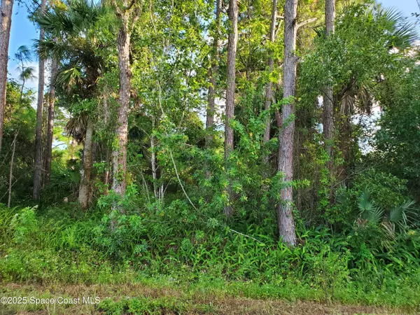 Cocoa, FL 32926,3757 Bryce ST