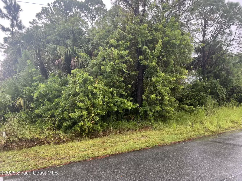 149 Feldman ST SE, Palm Bay, FL 32909