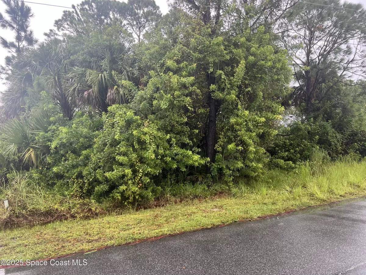 Palm Bay, FL 32909,149 Feldman ST SE