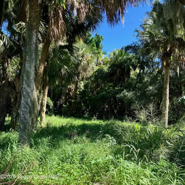 Merritt Island, FL 32953,5794 N Tropical TRL