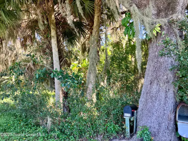 Merritt Island, FL 32953,5794 N Tropical TRL