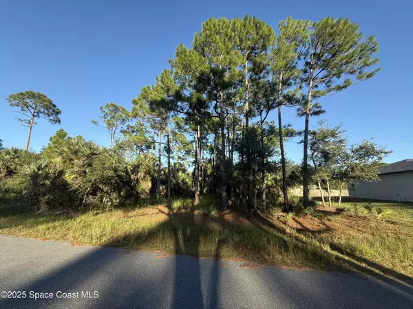 Palm Bay, FL 32909,2925 Polaris AVE SE