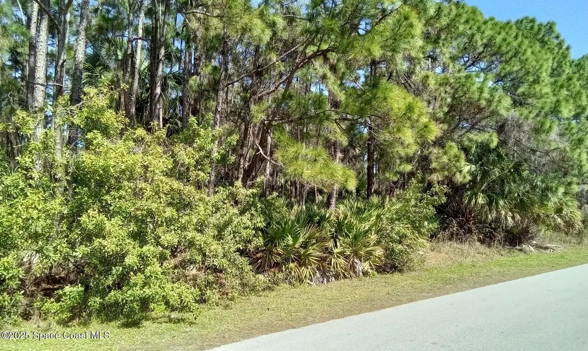 Palm Bay, FL 32908,473 Galhouse ST SW
