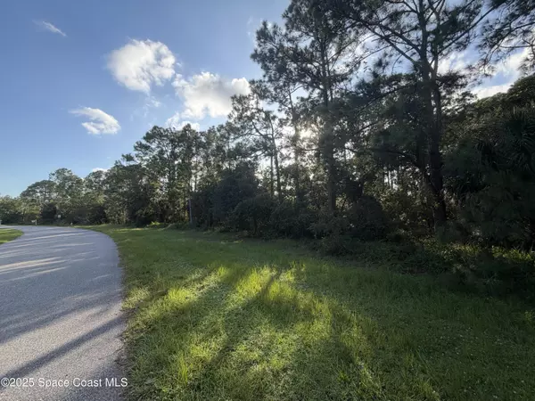 Titusville, FL 32796,3900 Rambling Acres DR