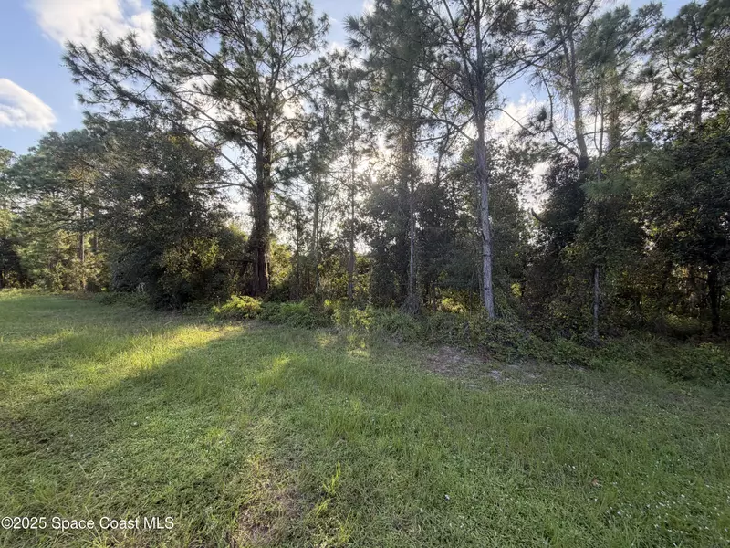 3900 Rambling Acres DR, Titusville, FL 32796