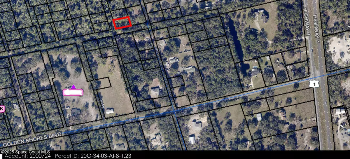 Mims, FL 32754,000 No Address