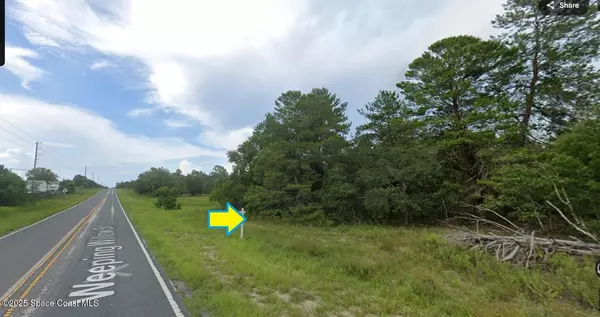 Brooksville, FL 34613,0 Weeping Willow ST