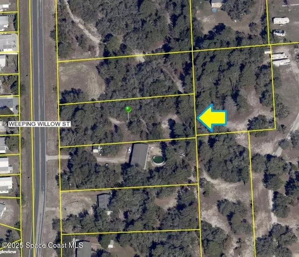 Brooksville, FL 34613,0 Weeping Willow ST