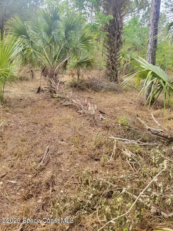 Cocoa, FL 32926,00 Olkowski AVE