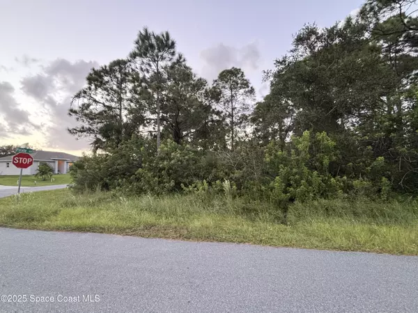 Palm Bay, FL 32909,00 Corner Pirate Ave & Savannah Street SE