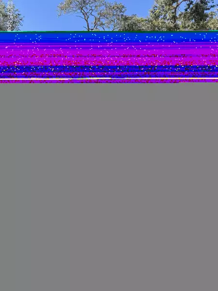 4546 Memory LN, Titusville, FL 32780