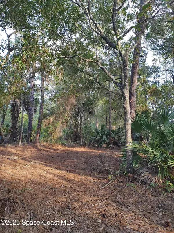 Grant-valkaria, FL 32950,0 Magnolia RD