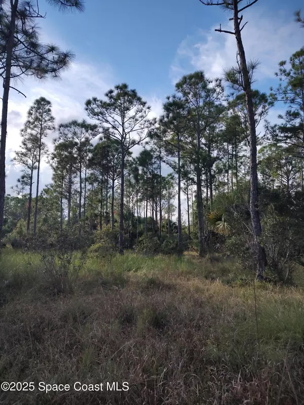 Grant-valkaria, FL 32950,0 Magnolia RD
