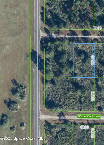 762 American ST NW, Lake Placid, FL 33852